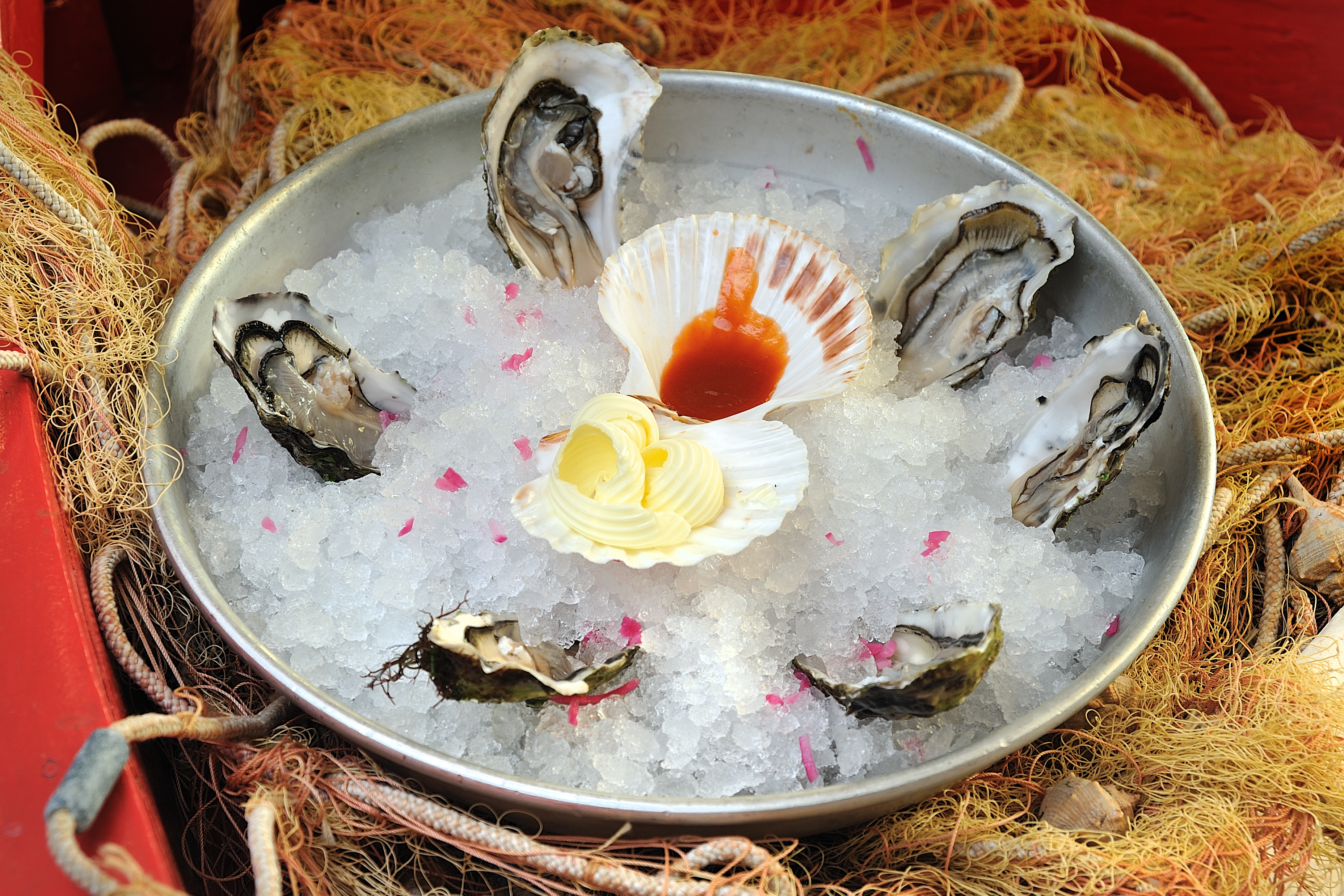 Food - Piatto di ostriche